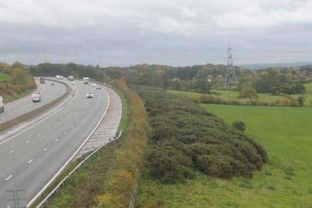 Part of the Bailrigg site as seen from the M6. Photo: Google Street View