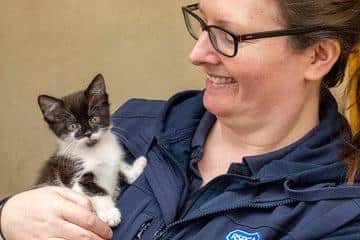 An RSPCA officer with a rescued kitten.