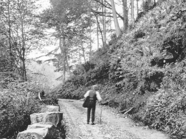 This photograph shows the road leading to the famous Backsbottom quarries that were rendered impassable by the floods. Photo: David Kenyon.
