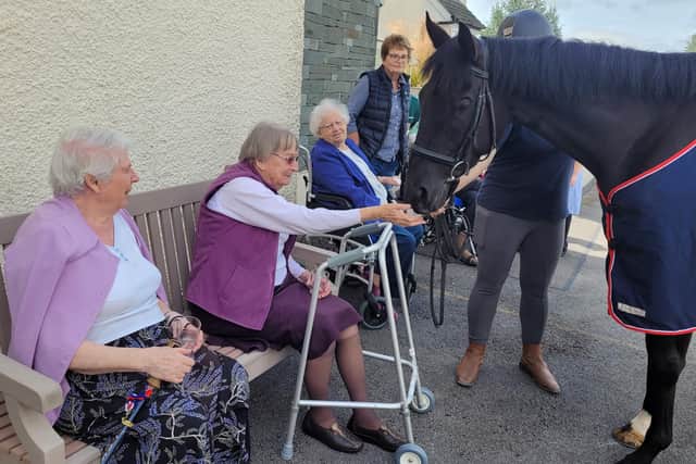 Retired racehorse Bomb Proof visits a care home where residents met him.