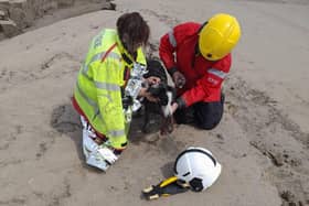The dog became stuck in quicksand at Grange on Thursday afternoon. Picture: Cumbria Fire and Rescue Service.