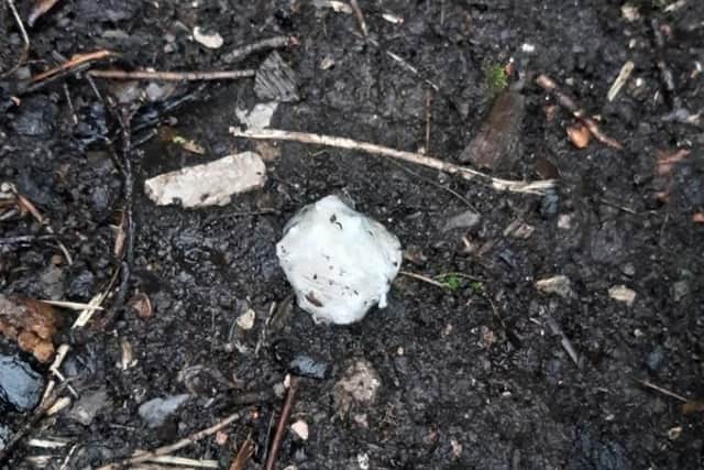 A bag of discarded drugs found at the back of the old Spar shop in Main Street, Bolton-le-Sands where suspects were arrested on March 28, 2021