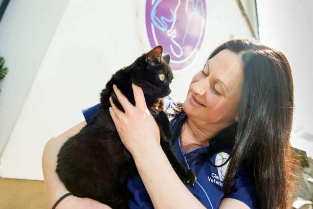 Clare Burrows, deputy head nurse at Lancaster Vets which has launched a campaign to help older cats and dogs thrive in their golden years.