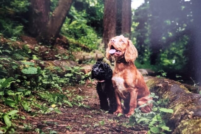 Barnaby and Poppy, shared by Kate Anne.