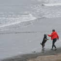 The annual dog beach ban comes into force on Sunday May 1.