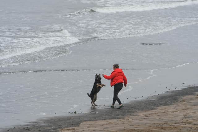 The annual dog beach ban comes into force on Sunday May 1.