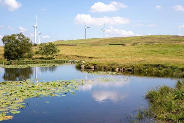 Armistead Wind Farm has been bought out by a multi-million dollar Canadian company.