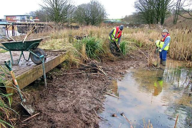 Volunteers working on Lancaster canal habitats.