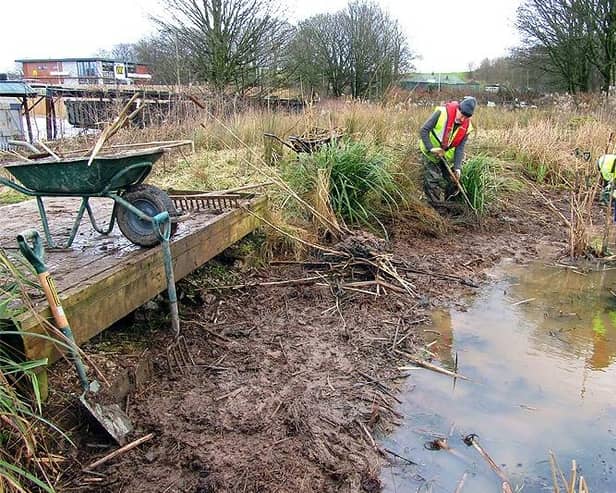 Volunteers working on Lancaster canal habitats.