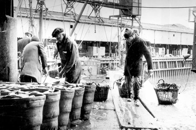 Dockers unloading a catch of fish at Fleetwood dock