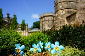 Some of the flowers at Lancaster Castle.