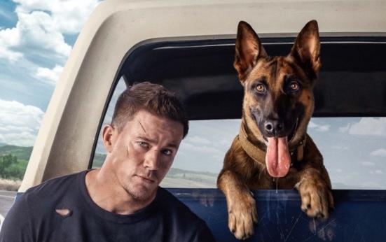Army Ranger Briggs (Channing Tatum) and Lulu (a Belgian Malinois dog) buckle into a 1984 Ford Bronco and race down the Pacific Coast in hopes of making it to a fellow soldier's funeral on time