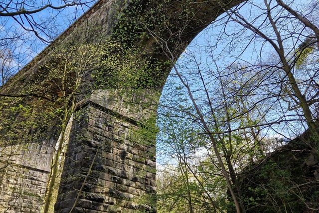 The walk continues under the impressive Hoghton Viaduct