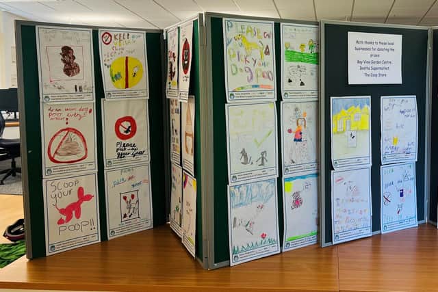 Some of the poster competition entries.