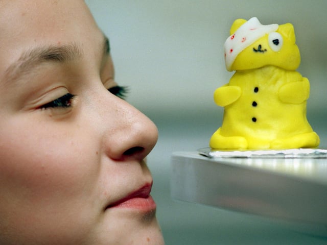 Pupil Lindsey Rodmell takes a closer look at one of the Pudsey bear cakes she made in aid of Children in Need.