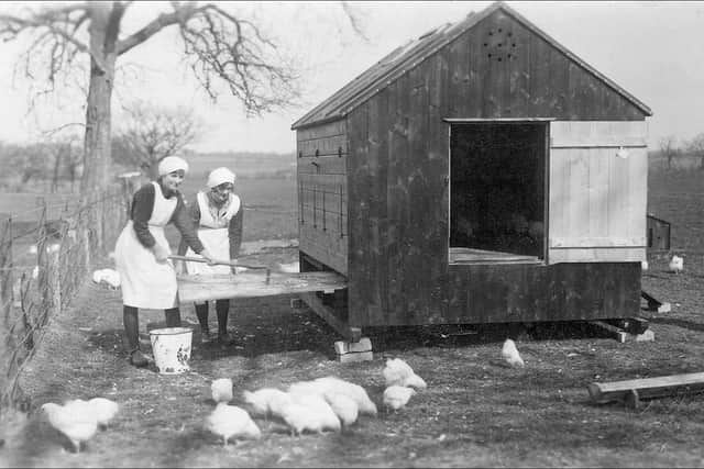 Newton Rigg Agricultural College, Penrith, 1930. Enid Galbraith on the left with a fellow student are learning how to look after poultry.