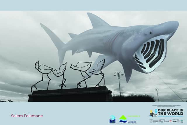 An inflatable basking shark gives the Tern Project birds a fright as part of the Now You See It project.