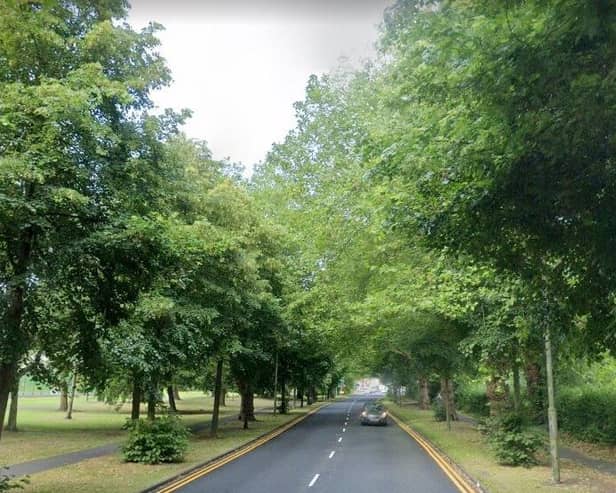 Highway safety inspectors will assess the trees along the 10,000 stretches of Lancashire highway that are lined with them - like here, on Blackpool Road in Preston (image: Google)
