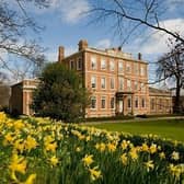 Springtime daffodils blooming in the gardens of Middlethorpe Hall & Spa. Image: Bailey Cooper Photography