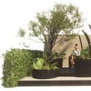 Sonja Kalkschmidt will showcase Sanctum in the container gardens category at this year's Chelsea Flower Show.