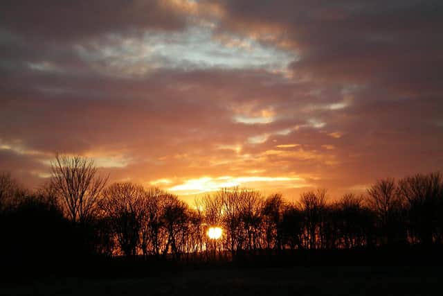 Sunset over Freeman's Wood in Lancaster.