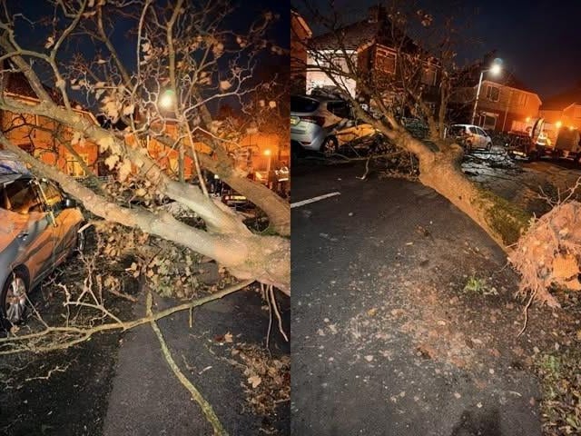 Lancaster City Council teams dealt with 17 fallen or dangerous trees across the weekend including this one.