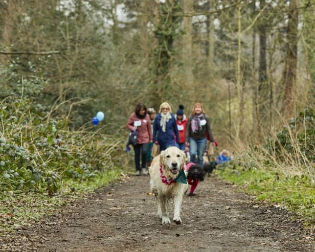 ‘Paw-some’ fundraising challenge: Lancashire dog owners are being urged to walk 60