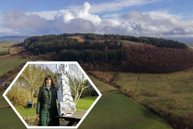 Joanna Sebborn hopes her mocked-up mast is the closest Beacon Fell ever comes to seeing the real thing (images: Tom Pooley/Lancashire Creators [main image] Paul Faulkner [inset])