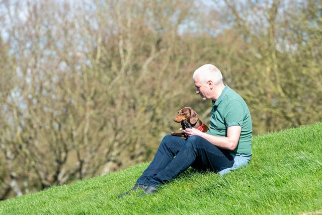 A dog and its owner sitting on the grassy hill at the Pups in the Park event in Williamson Park, Lancaster.