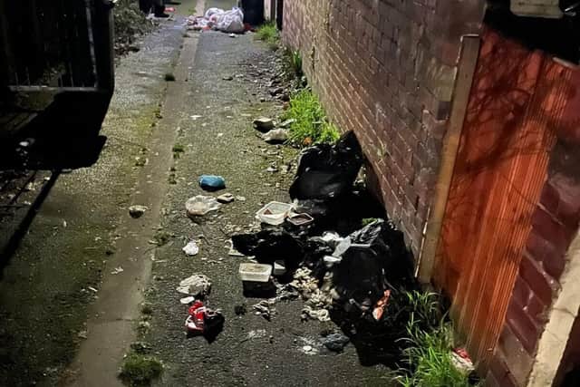 Mess caused by torn bin bags in Ulster Road alley.