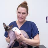 Clinical director Helen Griffin scanning for a microchip in Dobby, a Sphynx.