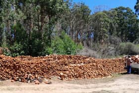 Wall of wood in South Africa, consisting of Proper Wood logs that are helping clear the area of invasive eucalyptus - a perfect hardwood for Logs Direct customers to burn. Picture from  www.logsdirect.co.uk.