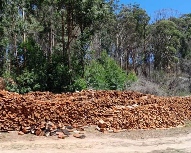 Wall of wood in South Africa, consisting of Proper Wood logs that are helping clear the area of invasive eucalyptus - a perfect hardwood for Logs Direct customers to burn. Picture from  www.logsdirect.co.uk.
