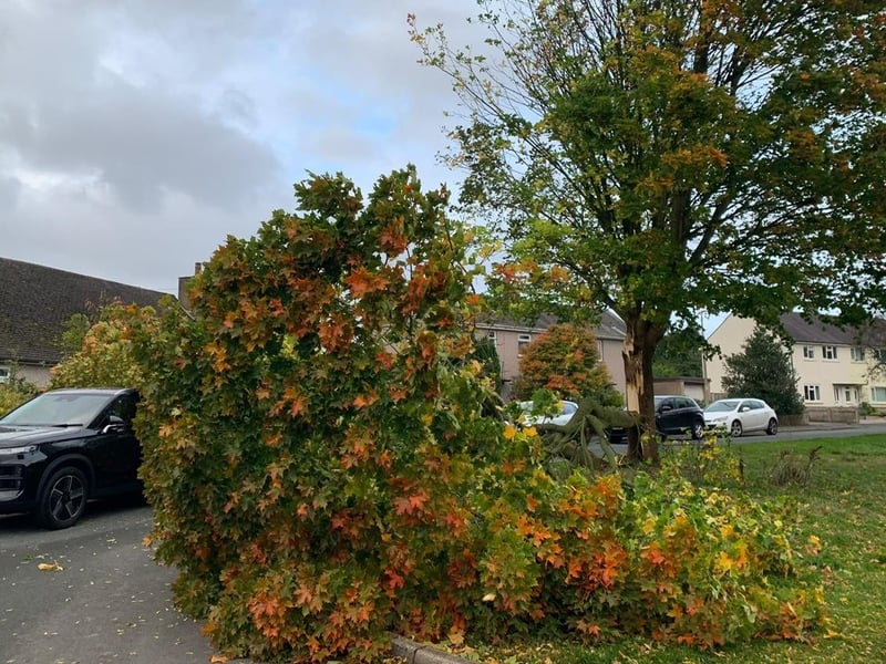 Half of a tree on Beckside in Caton came down on a car. Photo: Mark Harrison.