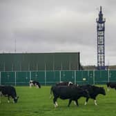 The Preston New Road fracking site where Cuadrilla fracked two horizontally drilled wells testing for gas in the shale rocks deep below the surface
(Photo by Christopher Furlong/Getty Images)