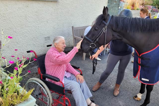 A retired racehorse being stroked by a care home resident.