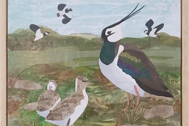 The wildlife of Morecambe Bay is celebrated in a new exhibition at Morecambe library. Photo: Catriona Stamp.