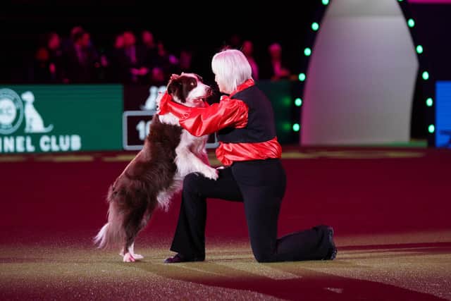 Irene Holt with Oltomaine Jack, competing in the Heelwork to Music Final at Crufts 2023 on Friday. Picture: BeatMedia/The Kennel Club