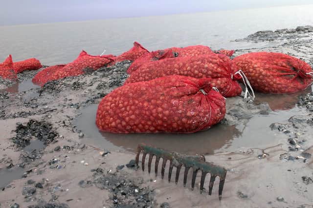 Cockle bags picked by the Chinese cocklers who died in the cockling tragedy, which were uncovered by the waters of the River Kent in Morecambe Bay ten years ago.