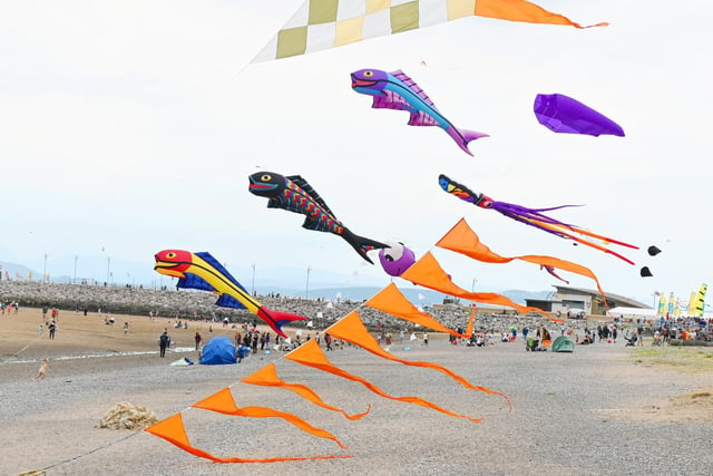 Kites at the Catch the Wind Kite Festival in Morecambe. Picture by Michelle Adamson.