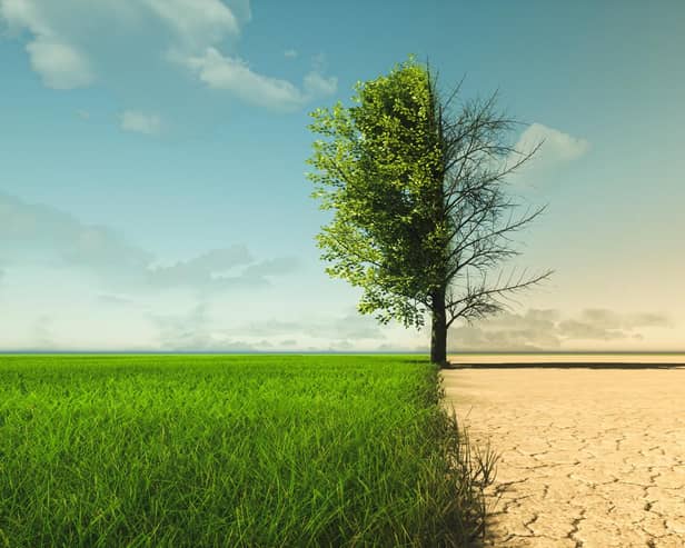 Climate change from drought to green growth. Photo: Adobe