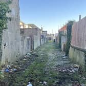 The back alley behind Windsor Road in Morecambe before it was cleared of weeds and rubbish.