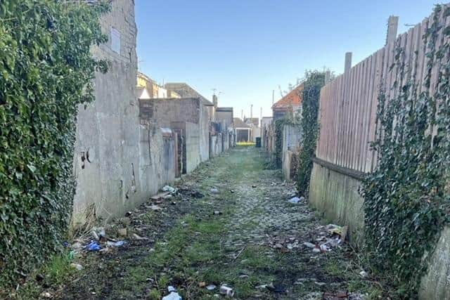 The back alley behind Windsor Road in Morecambe before it was cleared of weeds and rubbish.