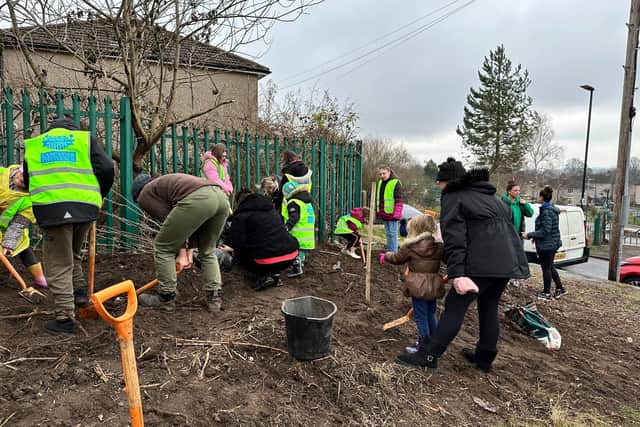 Children from Ryelands Primary School help to plant fruit trees.