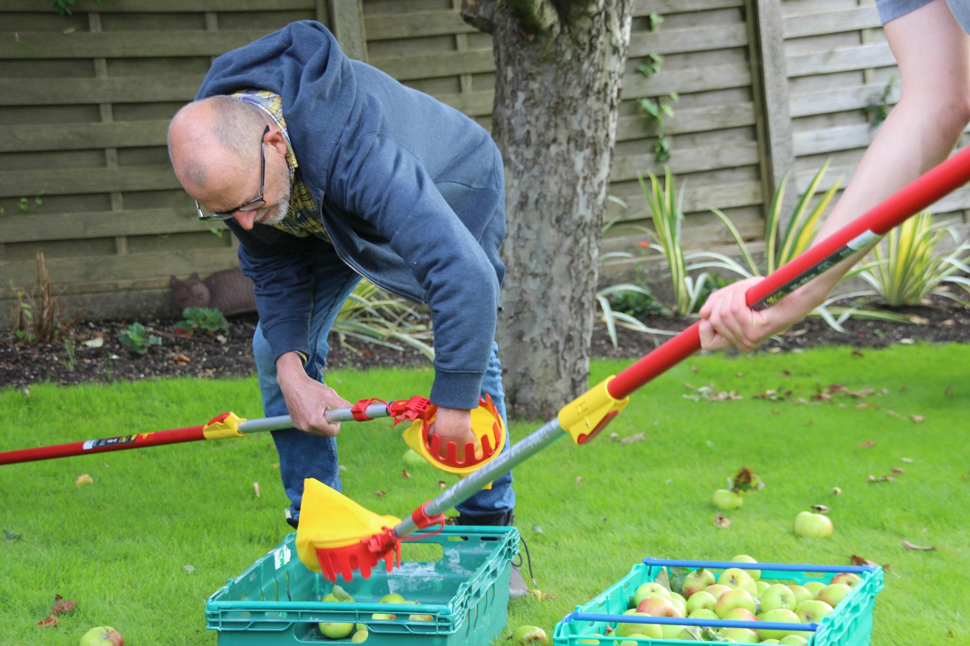 Community festival helps Lancaster residents make use of surplus fruit