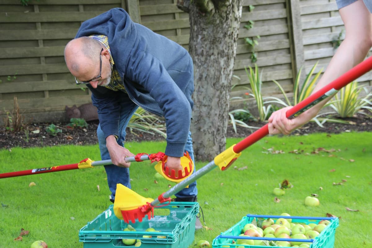 Community festival helps Lancaster residents make use of surplus fruit