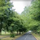 If any trees lining Lancashire highways like Blackpool Road in Preston need to be removed, they will now be replaced - either in the same spot or another planted elsewhere (image: Google)