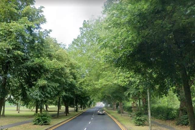 If any trees lining Lancashire highways like Blackpool Road in Preston need to be removed, they will now be replaced - either in the same spot or another planted elsewhere (image: Google)