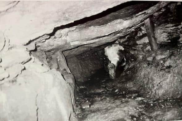 Probably the only photograph of a Lunesdale narrow-seam coalmine. This shows the coal level in Quarry Hill Wood, Littledale, surveyed by Archie Meadowcroft and friends in July 2004.