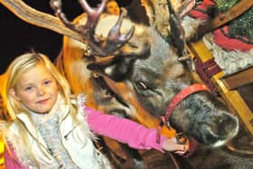 Abigail Richardson with one of Santa's reindeer at the Lancaster Christmas lights switch-on.